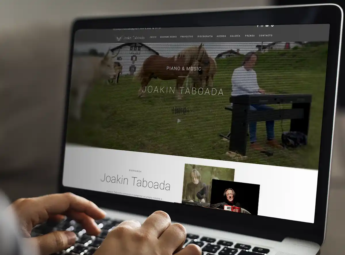 paginas-web-navarra-joakin-taboada