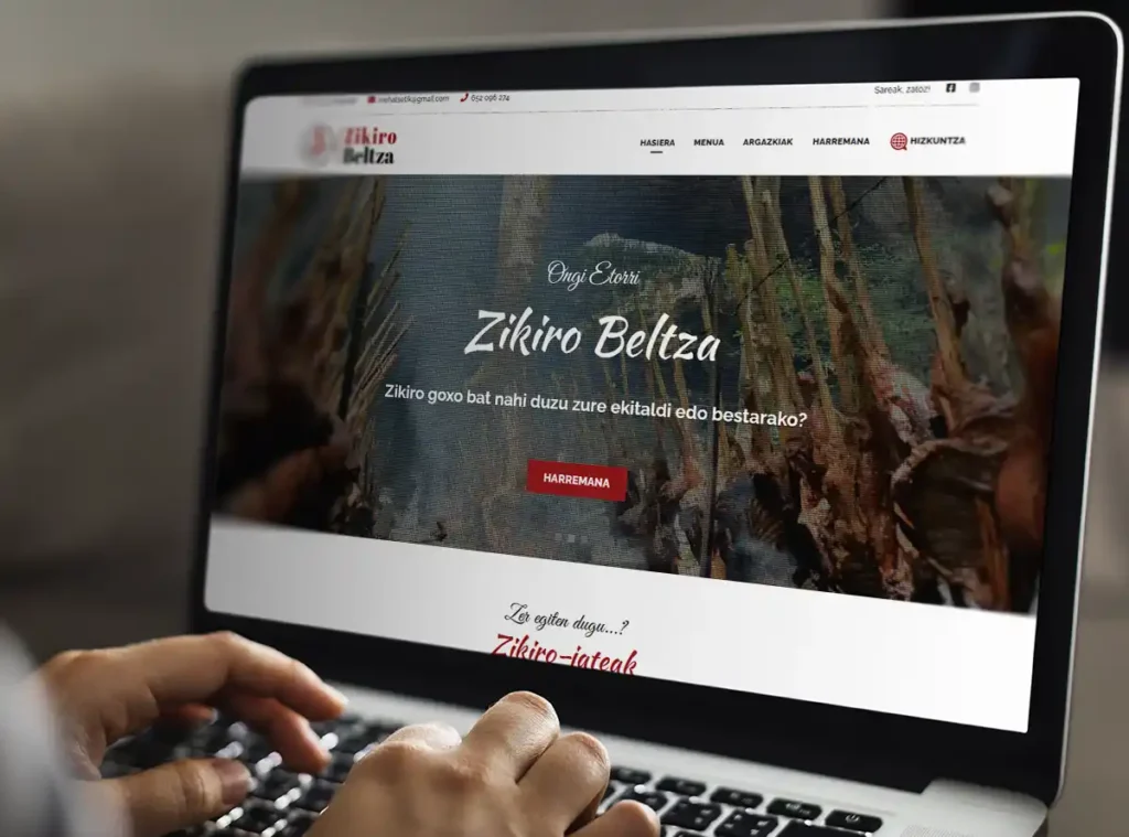 Diseño web Navarra - Zikiro Beltza