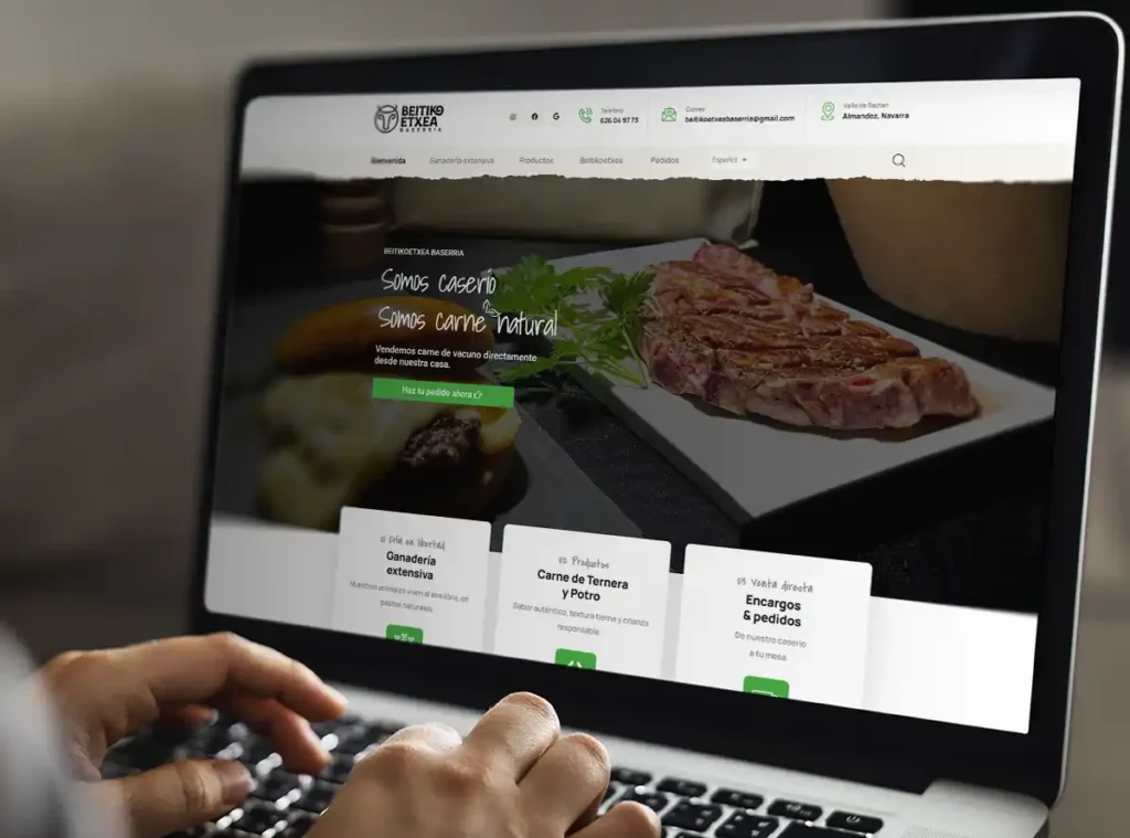 Diseño web Navarra Beitikoetxea Baserria